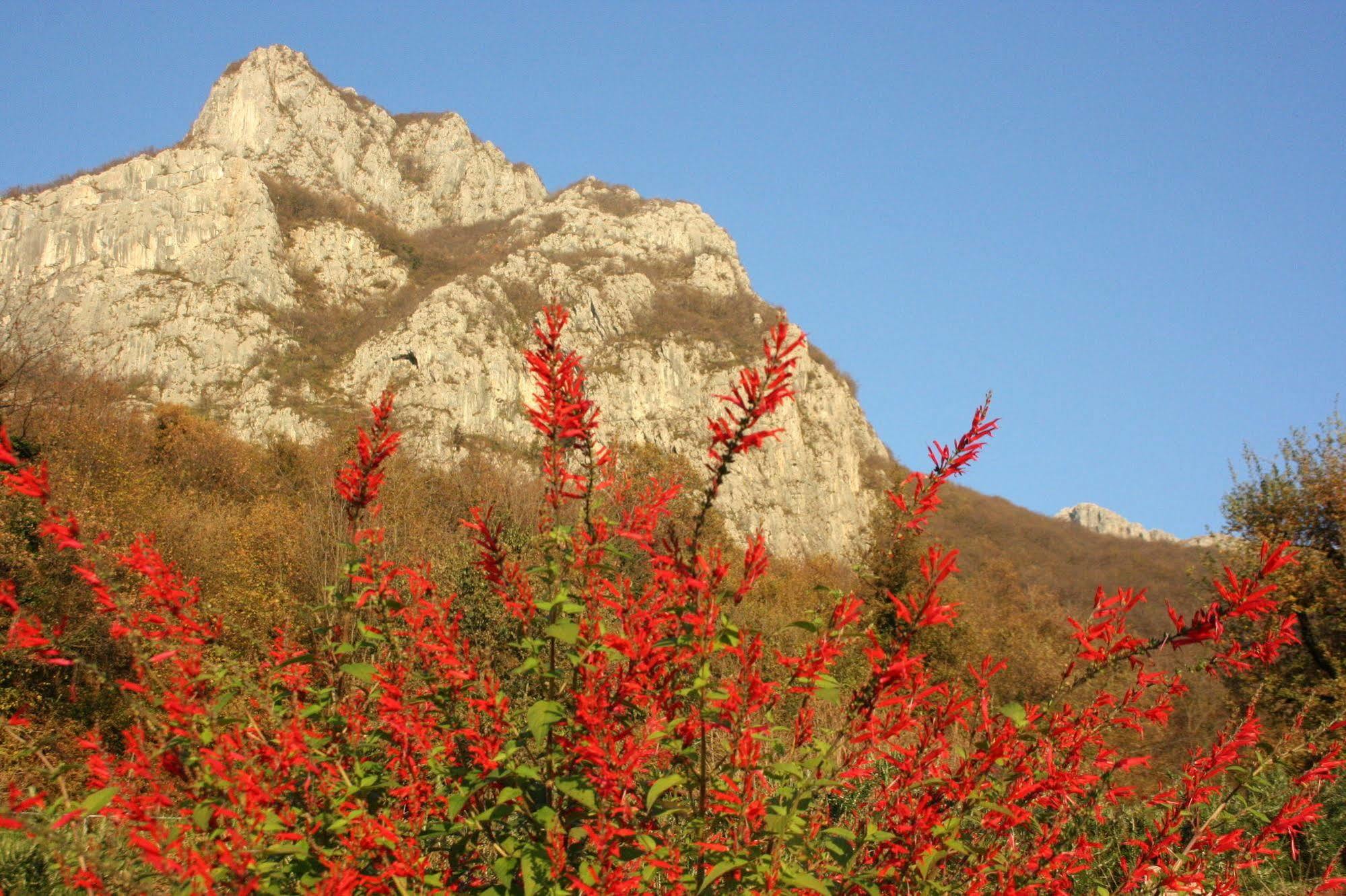 Agriturismo Deviscio Lecco Exterior photo